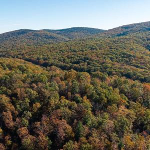 Photo #39 of 1225 LITTLE CALF PASTURE HWY, SWOOPE, VA 20.3 acres