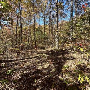 Photo #31 of 1225 LITTLE CALF PASTURE HWY, SWOOPE, VA 20.3 acres