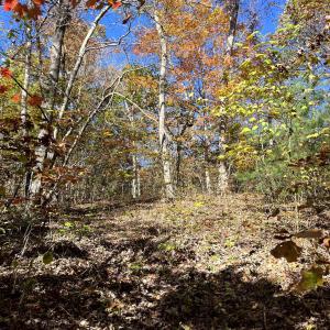 Photo #35 of 1225 LITTLE CALF PASTURE HWY, SWOOPE, VA 20.3 acres