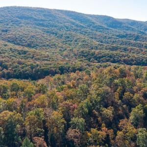 Photo #42 of 1225 LITTLE CALF PASTURE HWY, SWOOPE, VA 20.3 acres