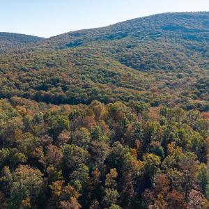 Photo #40 of 1225 LITTLE CALF PASTURE HWY, SWOOPE, VA 20.3 acres