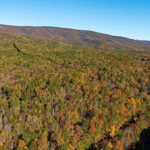 Photo #24 of 1225 LITTLE CALF PASTURE HWY, SWOOPE, VA 20.3 acres