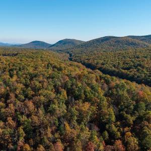 Photo #36 of 1225 LITTLE CALF PASTURE HWY, SWOOPE, VA 20.3 acres