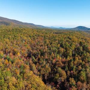 Photo #32 of 1225 LITTLE CALF PASTURE HWY, SWOOPE, VA 20.3 acres