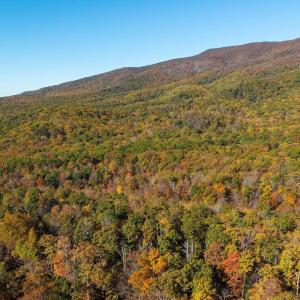 Photo #51 of 1225 LITTLE CALF PASTURE HWY, SWOOPE, VA 20.3 acres