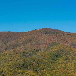 Photo #18 of 1225 LITTLE CALF PASTURE HWY, SWOOPE, VA 20.3 acres