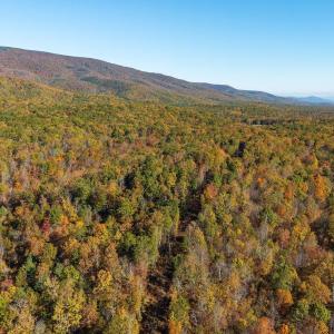 Photo #28 of 1225 LITTLE CALF PASTURE HWY, SWOOPE, VA 20.3 acres