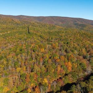 Photo #22 of 1225 LITTLE CALF PASTURE HWY, SWOOPE, VA 20.3 acres