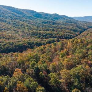 Photo #43 of 1225 LITTLE CALF PASTURE HWY, SWOOPE, VA 20.3 acres