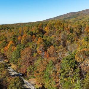 Photo #2 of 1225 LITTLE CALF PASTURE HWY, SWOOPE, VA 20.3 acres