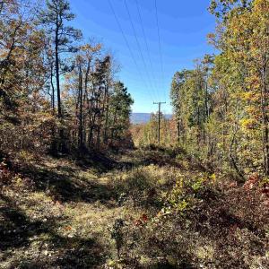 Photo #7 of 1225 LITTLE CALF PASTURE HWY, SWOOPE, VA 20.3 acres