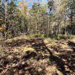 Photo #33 of 1225 LITTLE CALF PASTURE HWY, SWOOPE, VA 20.3 acres