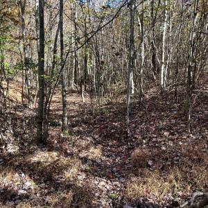 Photo #37 of 1225 LITTLE CALF PASTURE HWY, SWOOPE, VA 20.3 acres