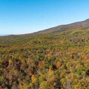 Photo #50 of 1225 LITTLE CALF PASTURE HWY, SWOOPE, VA 20.3 acres