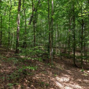 Photo #5 of Lot 69 PALMER PL, RUCKERSVILLE, VA 2.7 acres