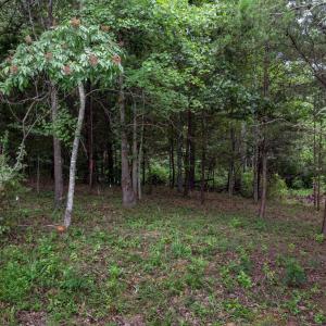 Photo #3 of Lot 69 PALMER PL, RUCKERSVILLE, VA 2.7 acres
