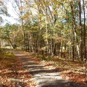 Photo #4 of 21 SHEPHERDS TRL, HOT SPRINGS, VA 2.3 acres