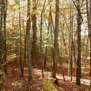 Photo #5 of 21 SHEPHERDS TRL, HOT SPRINGS, VA 2.3 acres