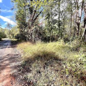 Photo #11 of RIVERDALE RD, STANARDSVILLE, VA 6.0 acres