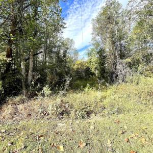 Photo #9 of RIVERDALE RD, STANARDSVILLE, VA 6.0 acres