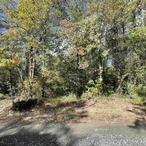 Photo #3 of RIVERDALE RD, STANARDSVILLE, VA 6.0 acres