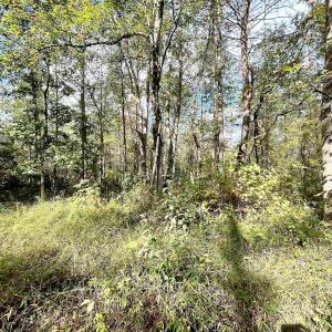 Photo #6 of RIVERDALE RD, STANARDSVILLE, VA 6.0 acres