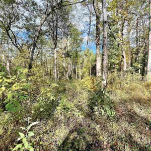 Photo #5 of RIVERDALE RD, STANARDSVILLE, VA 6.0 acres