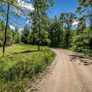 Photo #7 of Lot 1 GREEN CREEK RD, SCHUYLER, VA 12.3 acres