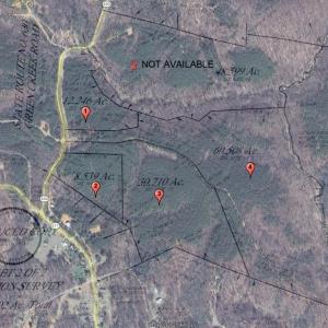 Photo #9 of Lot 1 GREEN CREEK RD, SCHUYLER, VA 12.3 acres