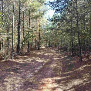 Photo #6 of Lot 2 GREEN CREEK RD, SCHUYLER, VA 8.5 acres