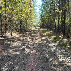 Photo #4 of Lot 2 GREEN CREEK RD, SCHUYLER, VA 8.5 acres