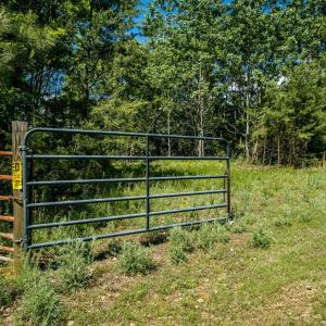 Photo #7 of Lot 3 GREEN CREEK RD, SCHUYLER, VA 30.7 acres