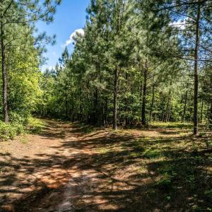 Photo #1 of Lot 3 GREEN CREEK RD, SCHUYLER, VA 30.7 acres