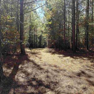 Photo #10 of Lot 3 GREEN CREEK RD, SCHUYLER, VA 30.7 acres