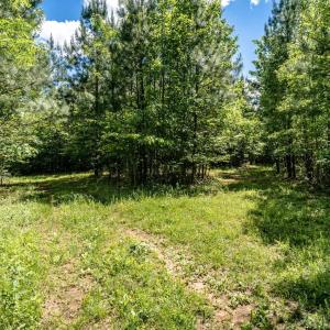 Photo #8 of Lot 3 GREEN CREEK RD, SCHUYLER, VA 30.7 acres