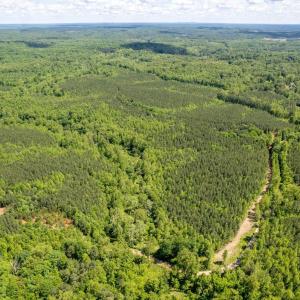 Photo #12 of Lot 3 GREEN CREEK RD, SCHUYLER, VA 30.7 acres