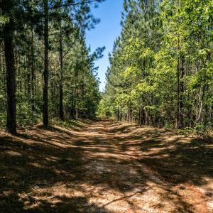 Photo #6 of Lot 3 GREEN CREEK RD, SCHUYLER, VA 30.7 acres