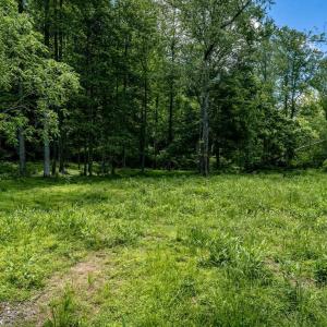 Photo #4 of Lot 3 GREEN CREEK RD, SCHUYLER, VA 30.7 acres