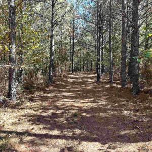 Photo #9 of Lot 3 GREEN CREEK RD, SCHUYLER, VA 30.7 acres