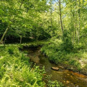 Photo #2 of Lot 4 GREEN CREEK RD, SCHUYLER, VA 66.0 acres