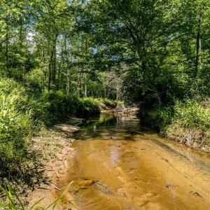 Photo #1 of Lot 4 GREEN CREEK RD, SCHUYLER, VA 66.0 acres