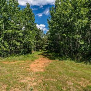 Photo #8 of Lot 4 GREEN CREEK RD, SCHUYLER, VA 66.0 acres