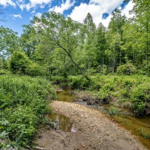 Photo #6 of Lot 4 GREEN CREEK RD, SCHUYLER, VA 66.0 acres