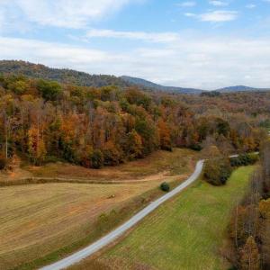 Photo #4 of WILLOW BRANCH LN, FABER, VA 14.8 acres