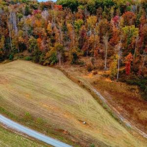 Photo #8 of WILLOW BRANCH LN, FABER, VA 14.8 acres