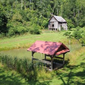 Photo #6 of WILLOW BRANCH LN, FABER, VA 17.3 acres