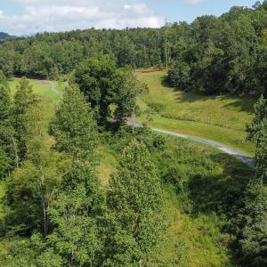 Photo #9 of WILLOW BRANCH LN, FABER, VA 17.3 acres