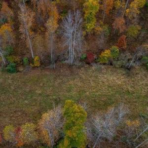 Photo #5 of WILLOW BRANCH LN, FABER, VA 17.3 acres