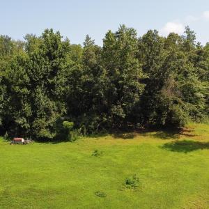 Photo #19 of WILLOW BRANCH LN, FABER, VA 17.3 acres