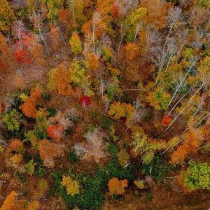 Photo #12 of ADIAL RD, FABER, VA 4.9 acres